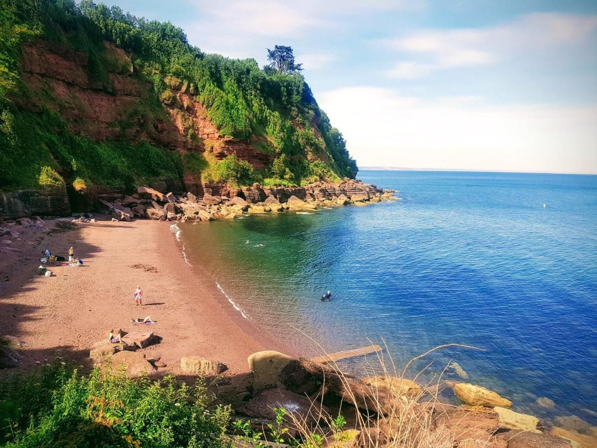 Halekulani Devon Homestay トーキー エクステリア 写真
