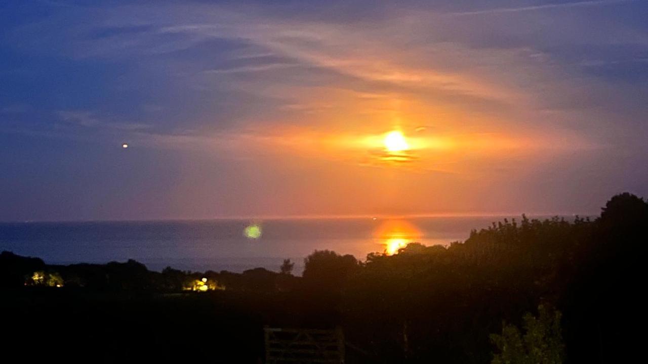 Halekulani Devon Homestay トーキー エクステリア 写真