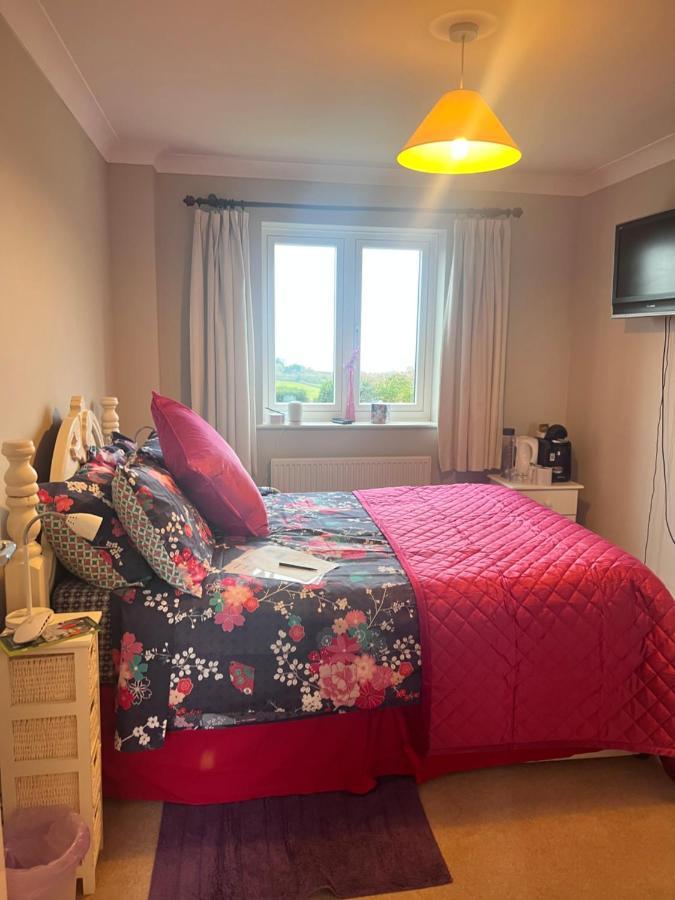 Halekulani Devon Homestay トーキー エクステリア 写真